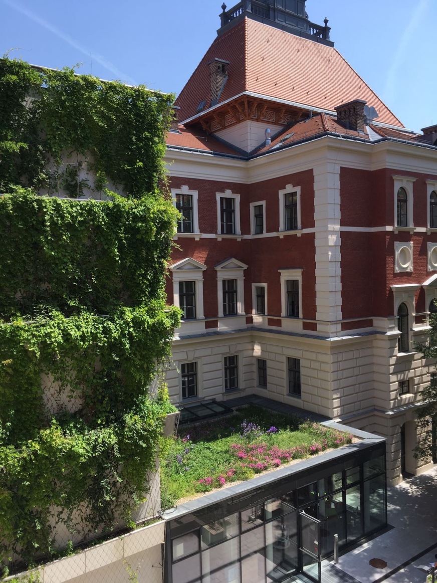 Dach- & Fassadenbegrünung in Wien