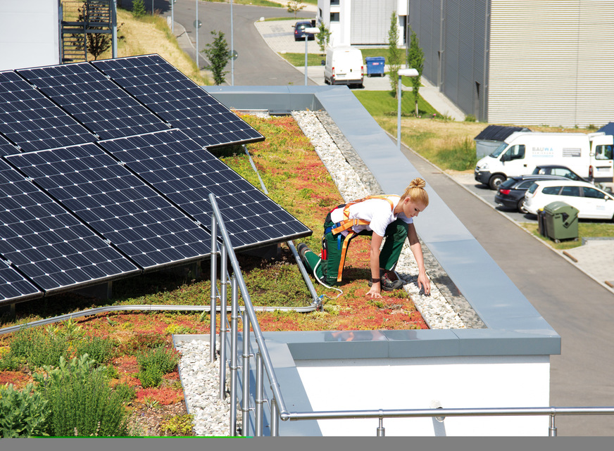 Pflege Solargründach