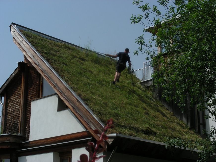 Pflege Gründach in Wien