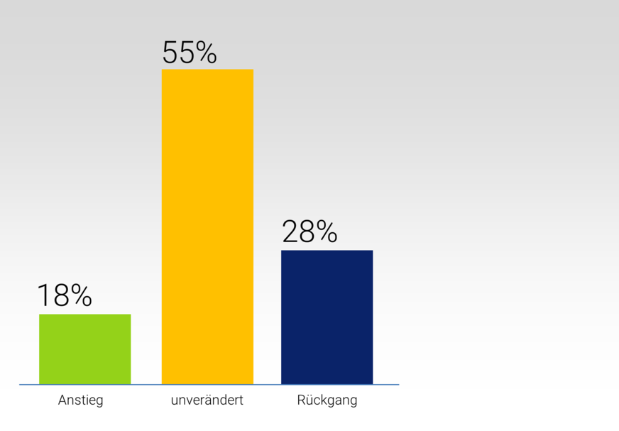 Welche Umsatzentwicklung erwarten Sie 2021?