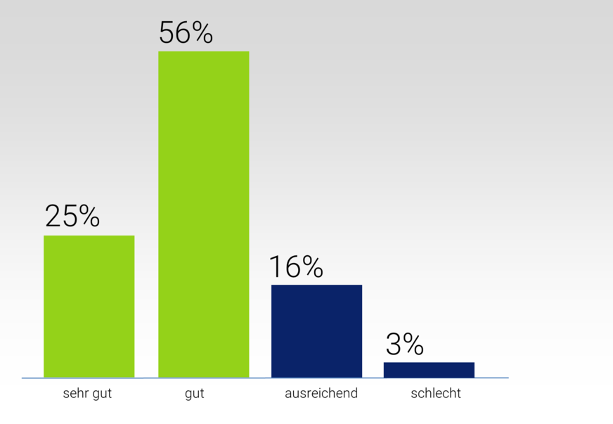 Wie beurteilen Sie zu Beginn des Geschäftsjahres 2021 die wirtschaftliche Situation Ihres Unternehmens?