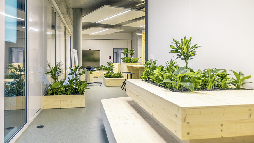 5 Auch im Gebäude sorgen Grünpflanzen für ein angenehmes Ambiente.