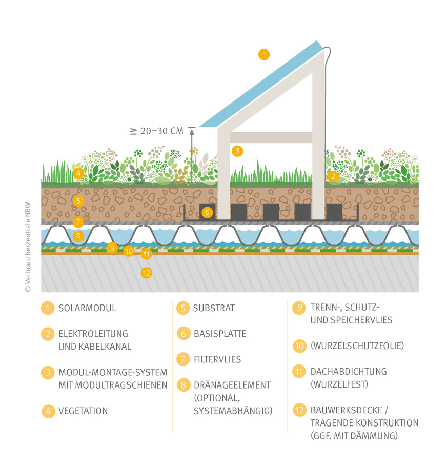 Durch den Abstand zwischen PV-Modul und Dachbegrünung kommen Licht und Wasser an die Pflanzen.
