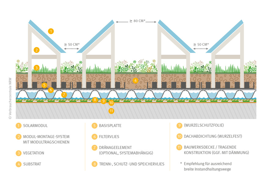 Zwischen den PV-Reihen sollte ausreichend Platz bleiben, um die Dachbegrünung pflegen und die Module warten zu können.