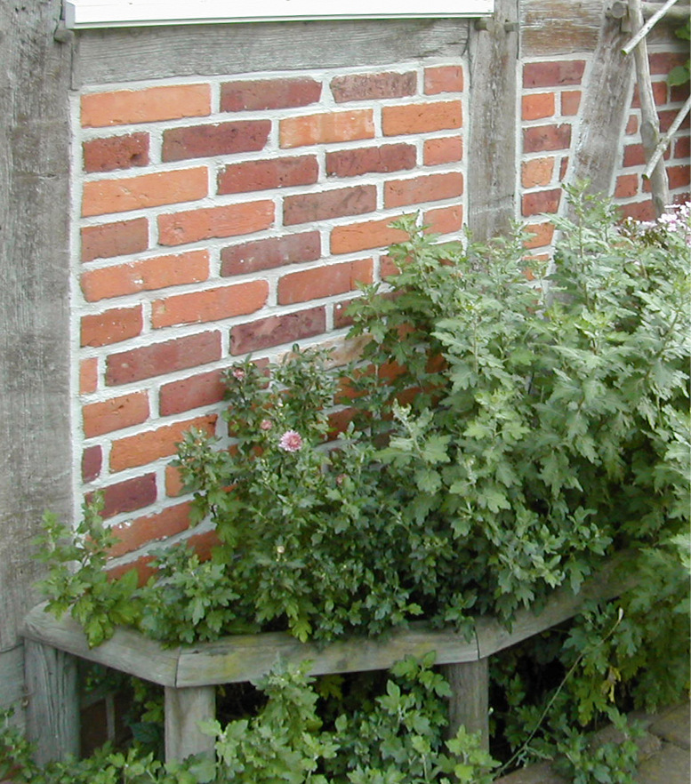 13 Bockelskamp: An der Nordwestecke, mit dauerhaft hoher Holzfeuchte, behindert Bepflanzung die Abtrocknung.