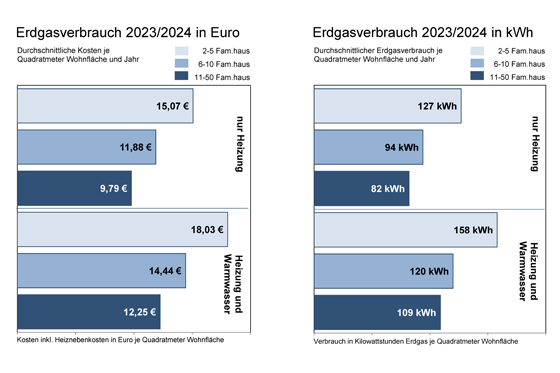 Kosten und Verbrauch am Beispiel Erdgas.
