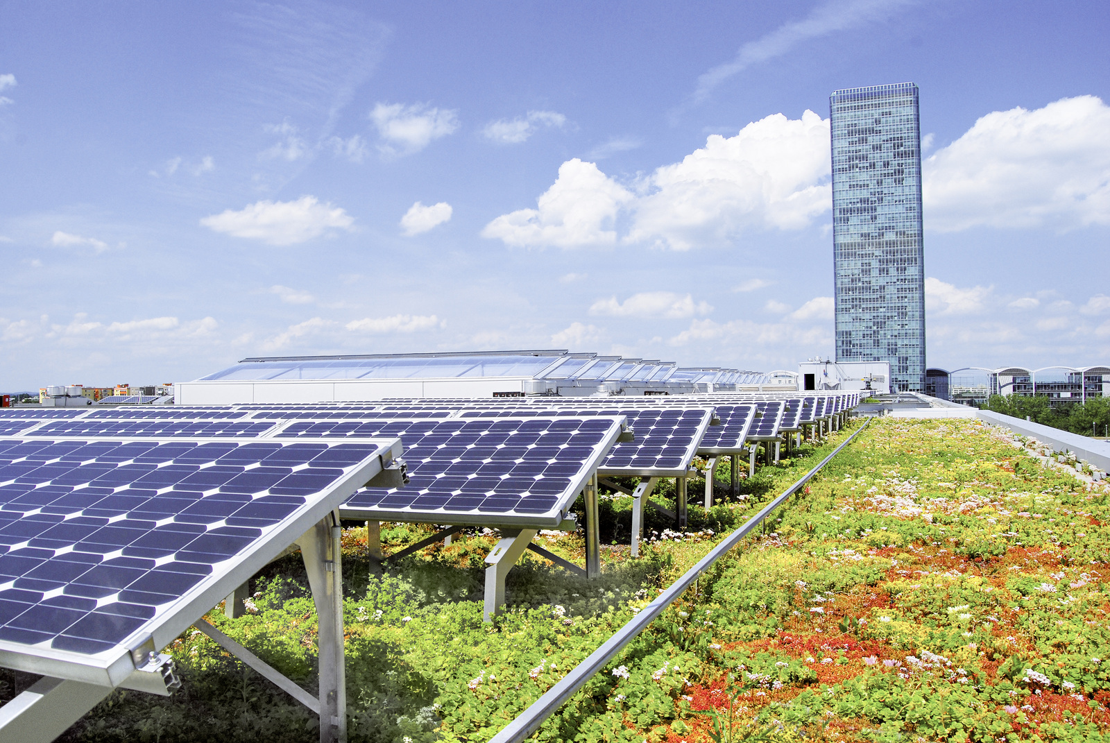 Solar und Grün ein perfektes Duo﻿