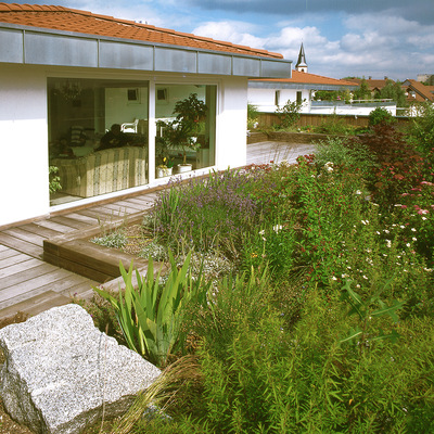 Intensivbegrünung auf einem genutzten Flachdach