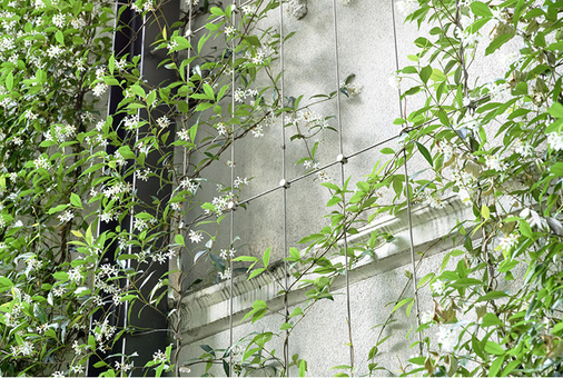 <p>
</p>

<p>
Gitterkonstruktionen aus Edelstahl Rostfrei werten trostlose Fassaden mit blühenden Rankpflanzen auf.
</p> - © WZV / Jakob Rope Systems

