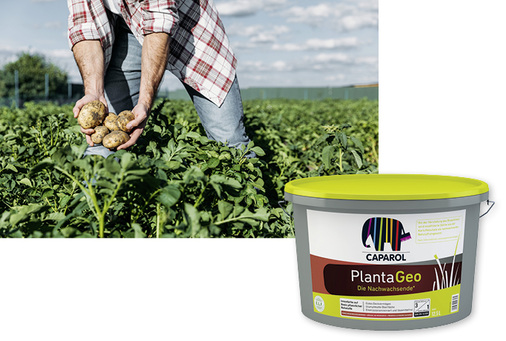 
Bei der Innenwandfarbe PlantaGeo wird das bisherige, auf Rohöl basierende Bindemittel durch modifizierte Kartoffelstärke ersetzt. Diese wird aus dem Waschwasser gewonnen, das bei der Produktion von Kartoffelprodukten entsteht.




