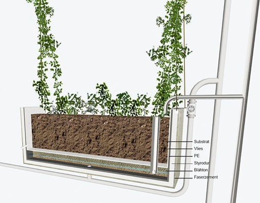 



4
 Zwei Drittel der Kletterpflanzen am Institut für Physik der HU Berlin Adlershof wachsen in Fassadenkübeln mit Anstau-Bewässerung.

