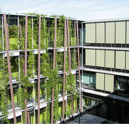 



8
 Die Betriebskosten für den konventionellen Sonnenschutz an den Fassaden des Instituts für Physik summieren sich auf 16 525 Euro/Jahr, während für die begrünten Fassaden nur Betriebskosten in Höhe von 1300 Euro/ Jahr anfallen. 
