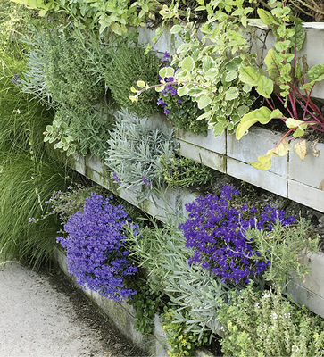 
Das Begrünungssystem Biolit Vertical Green von Unika schafft mehr Grün in der Stadt durch vertikale Begrünung.



