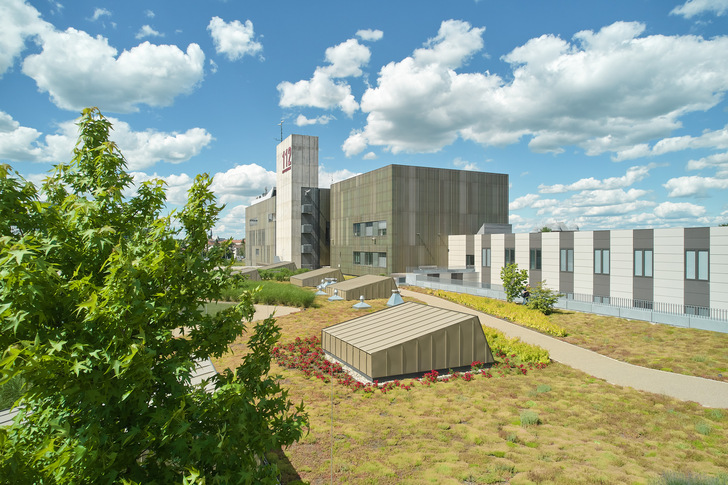 Extensive Dachbegrünung auf einem Industriedach