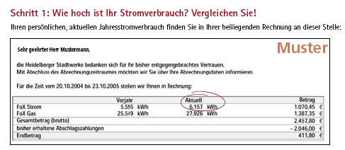 Hinweis zum Lesen der Stromrechnung. - ifeu / Stadtwerke Heidelberg