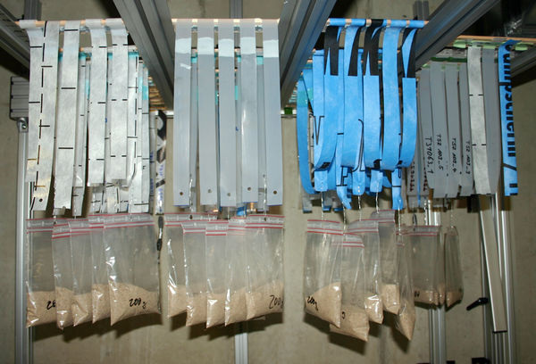 Statischer Schälversuch: Die Nasskleber-Proben wurden in Verbindung mit unterschiedlichen Folientypen für 60 min mit einem angehängten Gewicht unter Laborbedingungen belastet. - © ZUB / Ulf Cadenbach
 Statischer Schälversuch: Die Nasskleber-Proben wurden in Verbindung mit unterschiedlichen Folientypen für 60 min mit einem angehängten Gewicht unter Laborbedingungen belastet. - ZUB / Ulf Cadenbach