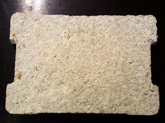 Prototyp einer Dämmplatte aus Myzelien. - Fraunhofer UMSICHT/Julia Krayer