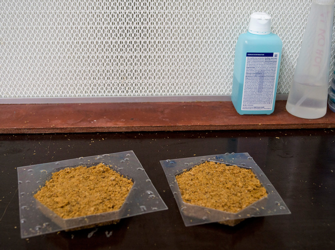 Zerbröselt lässt sich das Pilzmaterial in nahezu jede beliebige Form pressen. - Fraunhofer UMSICHT/Julia Krayer