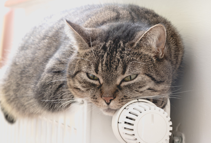 © Tommy Lee Walker / iStock / Getty Images Plus
© Tommy Lee Walker / iStock / Getty Images Plus