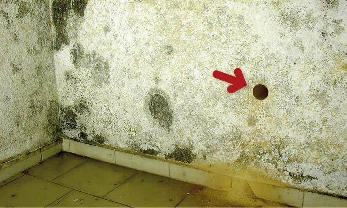 1 Typischer großflächiger Schimmelpilzbefall auf einer feuchten Außenwand mit Bauteilöffnung zur Probeentnahme zwecks Untersuchung (Pfeil) - © Bild: Jürgen Gänßmantel
