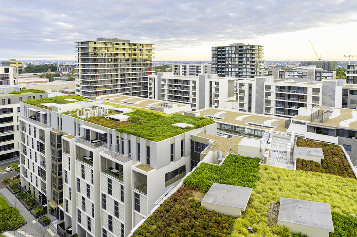 1 Begrünte Dächer geben insbesondere in der Stadt ein Stück Natur zurück, dass durch die Bebauung verloren gegangen ist – beim Dachaufbau sind indes einige Besonderheiten zu beachten.