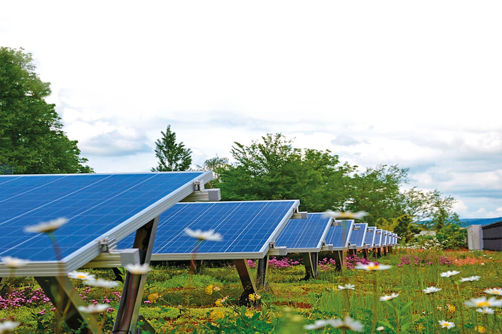 Solare Gründächer tragen zur Steigerung der PV-Erträge bei. - © Bauder
