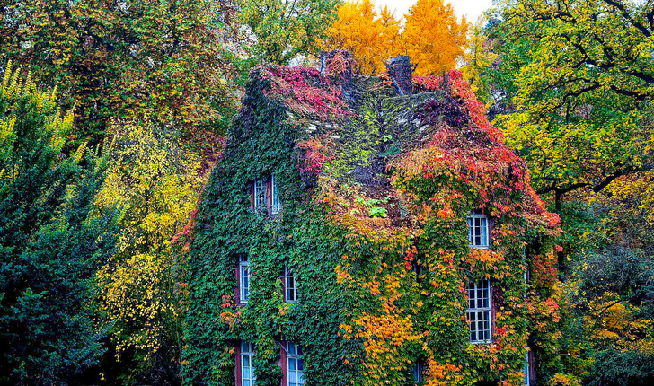 Wer „grün“ planen und bauen will, sollte sich mit ökologischen und nachhaltigen Bauprodukten auskennen – Symbolbild: Verwaltungsgebäude im Botanischen Garten der Justus-Liebig-Universität Gießen