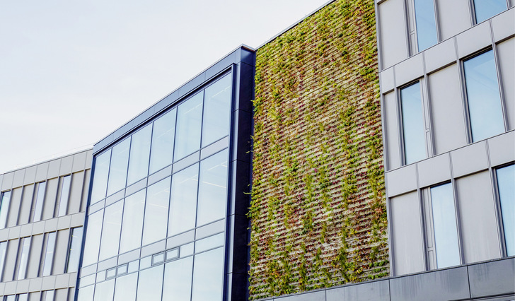 1 An der Fassade des neuen Bürogebäudes von Drees & Sommer an den Oberen Waldplätzen in Stuttgart gewährleisten PV-Module die regenerative Energieversorgung, während ein kleiner Teil von rund 100 m 2  als Grünfassade ausgebildet ist, die sich wie ein hängender Blühgarten über drei Geschosse erstreckt. - © Bild: Drees & Sommer
