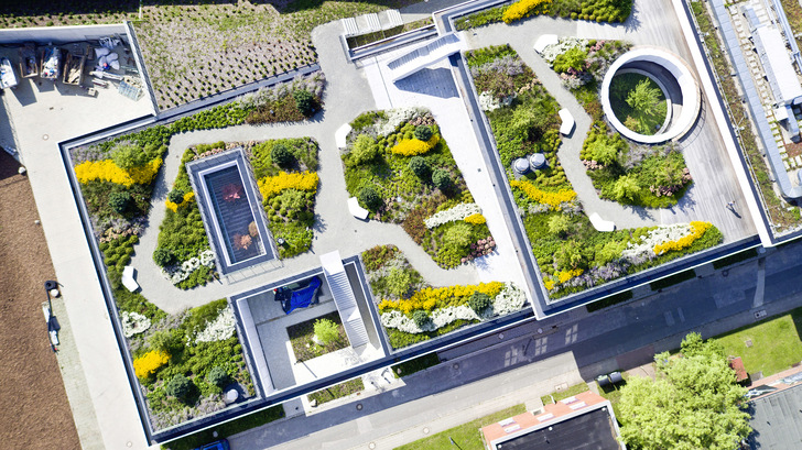 Begehbare Gründächer setzen sich durch. Sie unterstützen nicht nur die Kühlung von Gebäuden und Quartieren, sondern erhöhen auch die Aufenthaltsqualität durch die Nutzung als Gärten. - © Bild: Landschaftsarchitektur+
