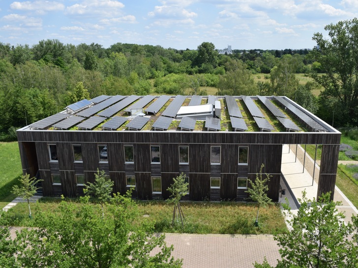 Passen gut zusammen: Photovoltaik und Gründach - © Bundesverband Gebäudegrün
