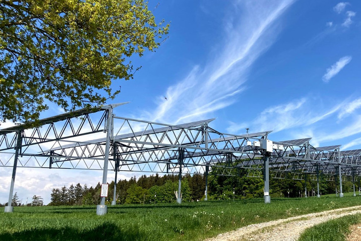 © Andreas Schweiger/Universität Hohenheim
