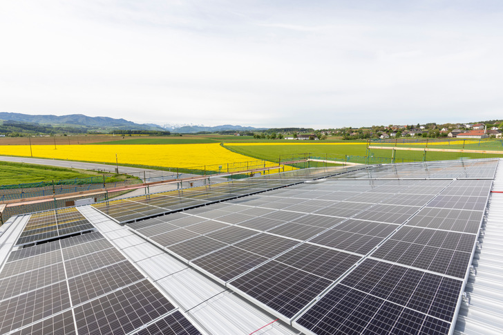 97 Terawattstunden Strom aus Solar- und Windkraftanlagen kamen im ersten Halbjahr ins öffentliche Netz. - © my-PV
