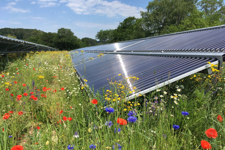 Freiflächen-Solarthermie kann viel zur Energiewende beitragen, braucht dafür aber Platz – den sie bislang nicht bekommt, weil sie in der Raumplanung nicht berücksichtigt wird. - © Solites
