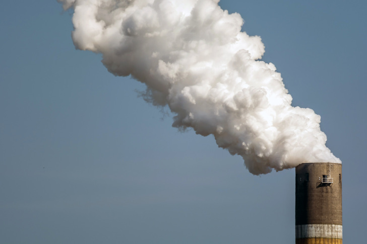 Als unverhältnismäßige Verschärfung bezeichnet der Verband Holzenergie den Entwurf für das Nationale Luftreinhalteprogramm. - © Ralf Geithe - stock.adobe.com
