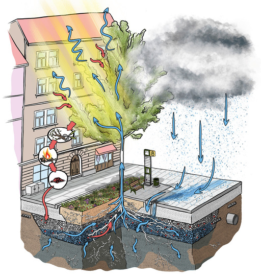 Das Schwammstadt-Prinzip bedeutet, den Stadtraum neu zu denken und zu planen, um mit grün-blauer Infrastruktur sowohl das Regenwasser­management als auch das Mikroklima in der Stadt an die Konsequenzen des Klimawandels anzupassen.