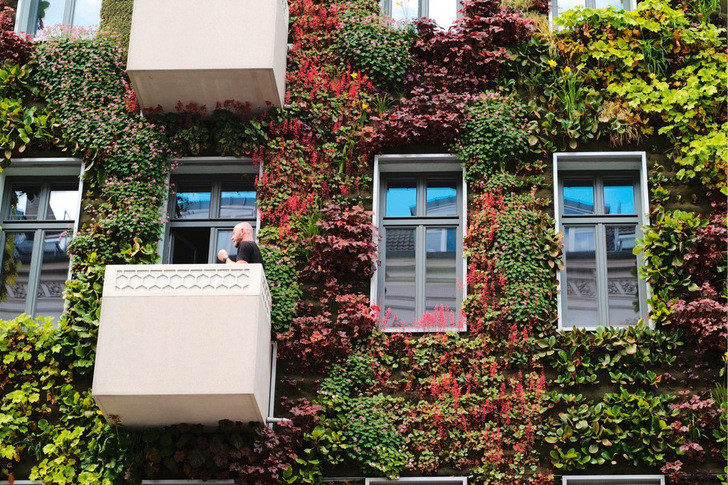 Bauwerksbegrünungen an der Fassade entlasten das städtische Mikroklima durch Verdunstungskühle.