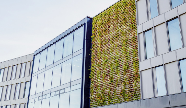 1 An der Fassade des neuen Bürogebäudes von Drees & Sommer an den Oberen Waldplätzen in Stuttgart gewährleisten PV-Module die regenerative Energieversorgung, während ein kleiner Teil von rund 100 m2  als Grünfassade ausgebildet ist, die sich wie ein hängender Blühgarten über drei Geschosse erstreckt.