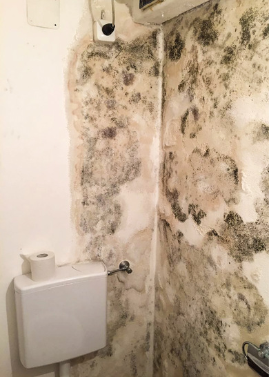 1 Salzausblühungen durch aufsteigende Mauerwerksfeuchtigkeit in Kombination mit Schimmelpilzbefall auf der Putzoberfläche: Derart komplexe Situationen erfordern ein hohes Maß an Sanierungskompetenz, um die Schadensursache genau zu ermitteln und sie dauerhaft abzustellen.