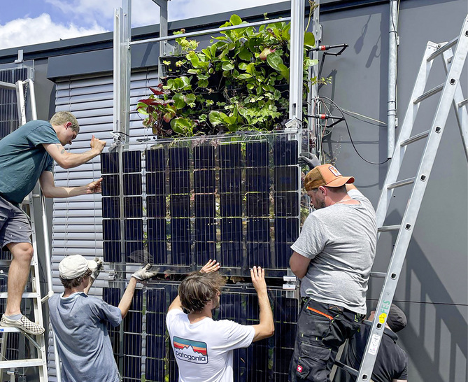 GreenPV: Mitarbeiter der Fakultät Architektur und des Instituts für Energie und Gebäude an der Technischen Hochschule Nürnberg montieren Photovoltaik vor Pflanzen. An ihrem Prüfstand untersuchen sie die Einflüsse von Fassadenbegrünung auf die Modultemperatur.