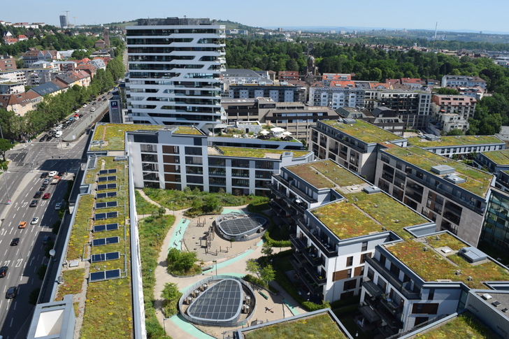 Rekord-Zuwachs: Mit über zehn Millionen Quadratmetern wurde gemäß Bundesverband Gebäudegrün noch nie so viel Dachfläche begrünt wie 2023.