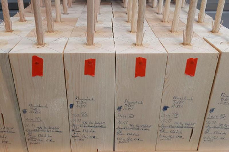 Im Projekt Oekostab wurden Stäbe aus Laubholz als Verbindungselemente in kleinmaßstäbliche Probekörper aus Fichtenholz eingeklebt. Die Klebekraft der mit Glutinleim verklebten Stäbe ist mit handelsüblichen petrochemischen Klebstoffen vergleichbar.