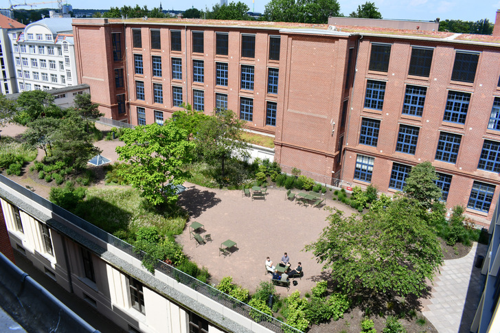 Begrünte Dächer bieten den Menschen auch auf Bestandsgebäuden ein erholsames Umfeld. Darüber hinaus helfen Städten bei der Klimaanpassung.