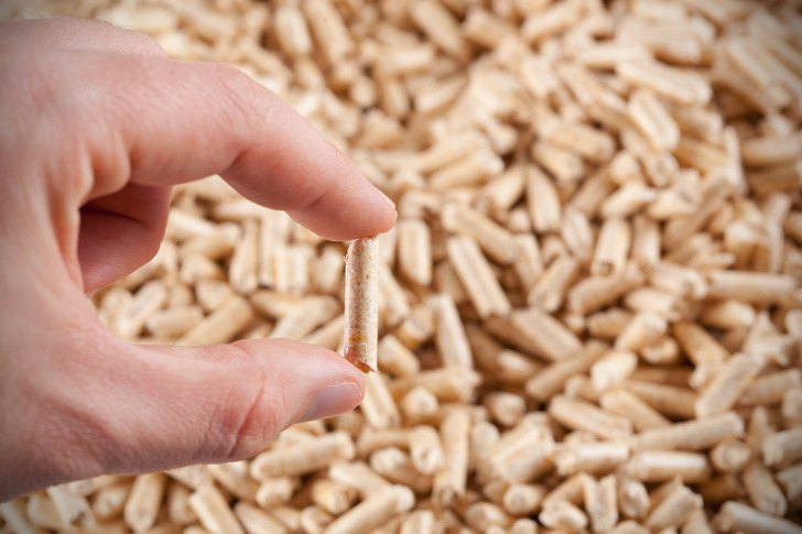 Auf eine nachhaltige Produktion von Holzpellets konzentriert sich die Gütegemeinschaft Climate Premium Pellets.