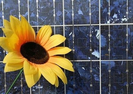 © Martin Jehnichen / Greenpeace