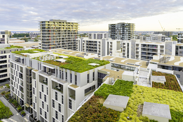 1 Begrünte Dächer geben insbesondere in der Stadt ein Stück Natur zurück, dass durch die Bebauung verloren gegangen ist – beim Dachaufbau sind indes einige Besonderheiten zu beachten.