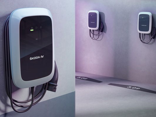 Wer eine Ladestation kauft und sie privat nutzt, bekommt ab 24. November 2020 einen Zuschuss von 900 Euro.