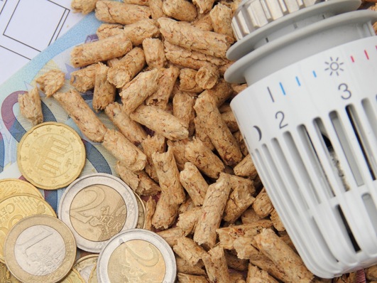 2020 konnten Biomasse-Heizkessel ein deutliches Umsatzplus erzielen.