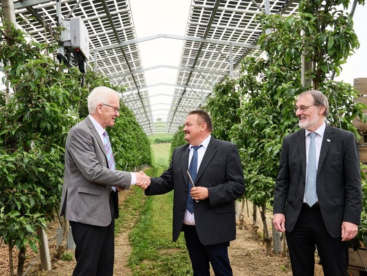 Baden-Württembergs Ministerpräsident Winfried Kretschmann (links) gratuliert Landwirt Hubert Bernhard und Fraunhofer ISE-Leiter Andreas Bett zur Einweihung einer Agri-Photovoltaikanlage in Kressbronn.
