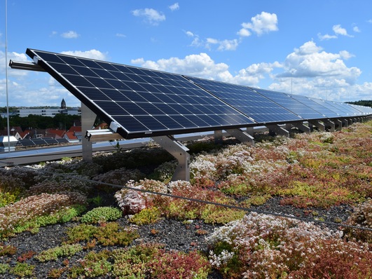 Ein Solargründach erzeugt umweltfreundlichen Strom und verbessert gleichzeitig das Mikroklima.