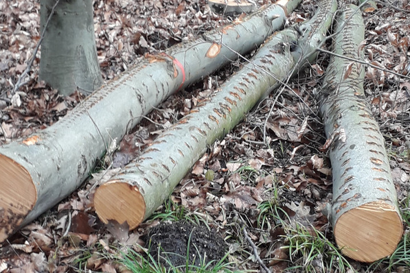 Brennholz ist kein Bauholz.